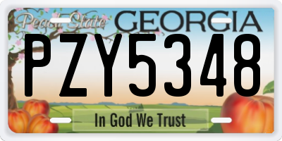 GA license plate PZY5348