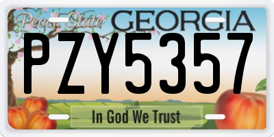 GA license plate PZY5357