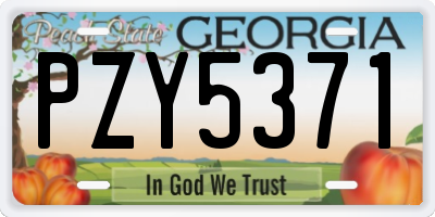 GA license plate PZY5371