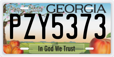 GA license plate PZY5373