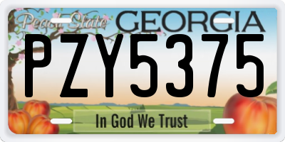 GA license plate PZY5375