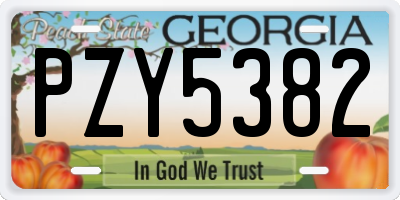 GA license plate PZY5382