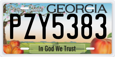GA license plate PZY5383