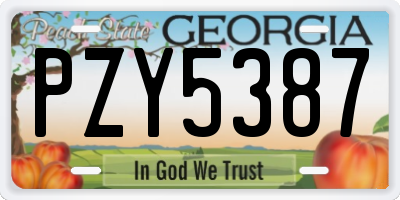 GA license plate PZY5387