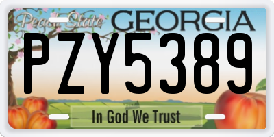 GA license plate PZY5389