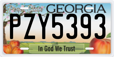 GA license plate PZY5393