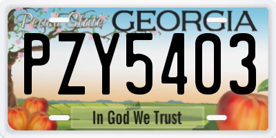 GA license plate PZY5403