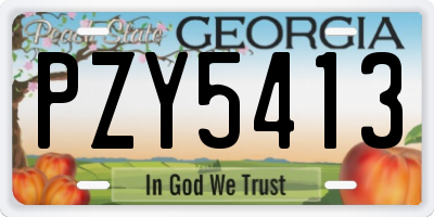 GA license plate PZY5413