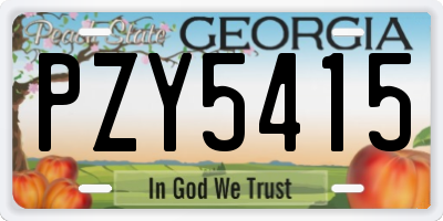 GA license plate PZY5415
