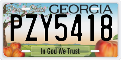 GA license plate PZY5418