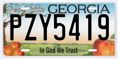 GA license plate PZY5419