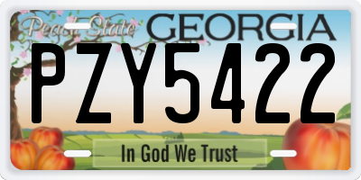 GA license plate PZY5422