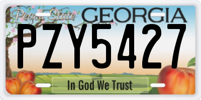 GA license plate PZY5427