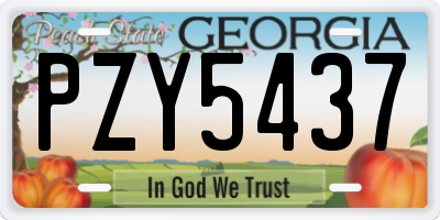 GA license plate PZY5437