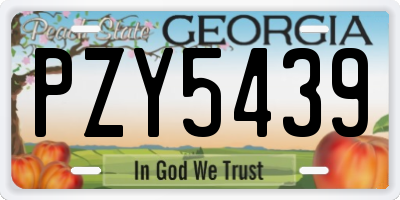 GA license plate PZY5439