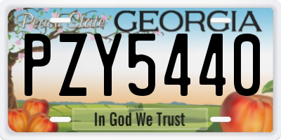 GA license plate PZY5440
