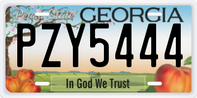 GA license plate PZY5444