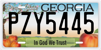 GA license plate PZY5445