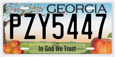 GA license plate PZY5447