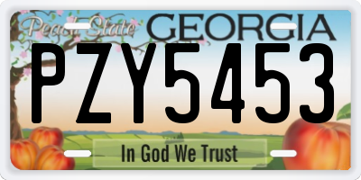 GA license plate PZY5453