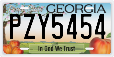 GA license plate PZY5454
