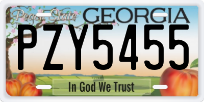 GA license plate PZY5455