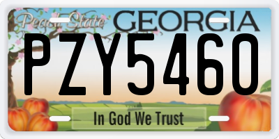 GA license plate PZY5460