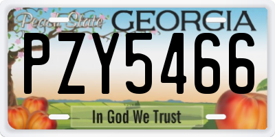 GA license plate PZY5466