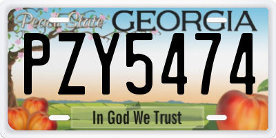 GA license plate PZY5474