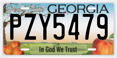 GA license plate PZY5479