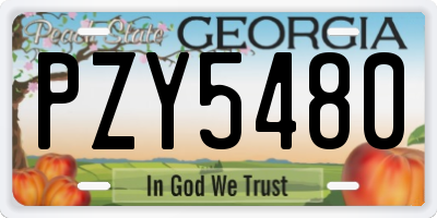 GA license plate PZY5480