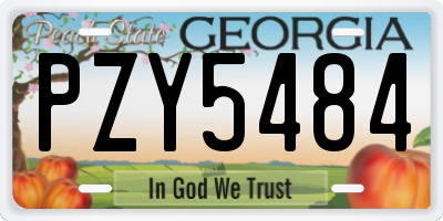 GA license plate PZY5484