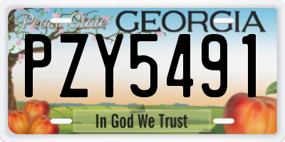 GA license plate PZY5491