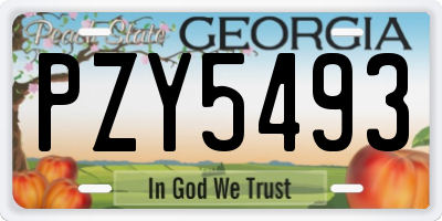GA license plate PZY5493