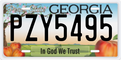 GA license plate PZY5495