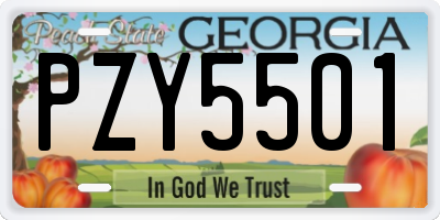 GA license plate PZY5501