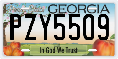 GA license plate PZY5509