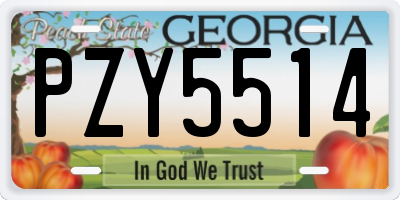 GA license plate PZY5514