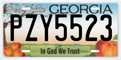 GA license plate PZY5523