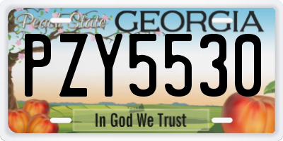 GA license plate PZY5530