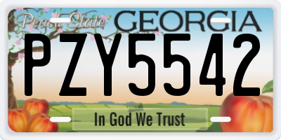 GA license plate PZY5542