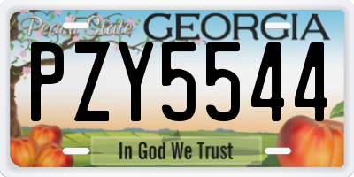 GA license plate PZY5544