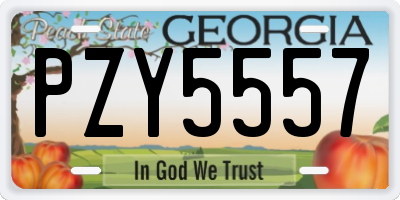 GA license plate PZY5557