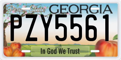 GA license plate PZY5561