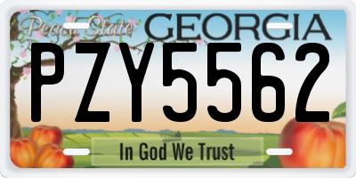 GA license plate PZY5562