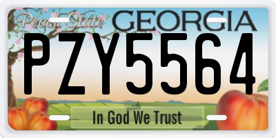GA license plate PZY5564
