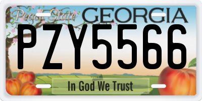 GA license plate PZY5566