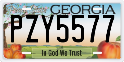 GA license plate PZY5577