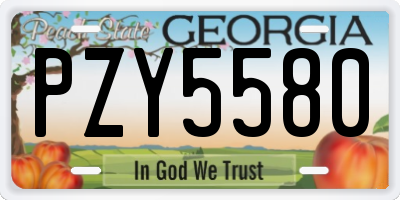 GA license plate PZY5580