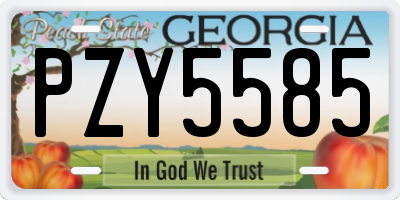 GA license plate PZY5585